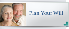 Play Your Will